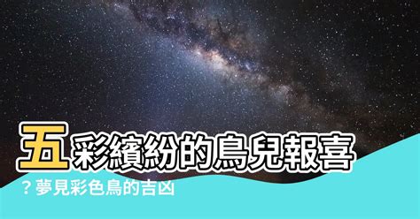 鳥寓意|鳥的象徵意義與意義